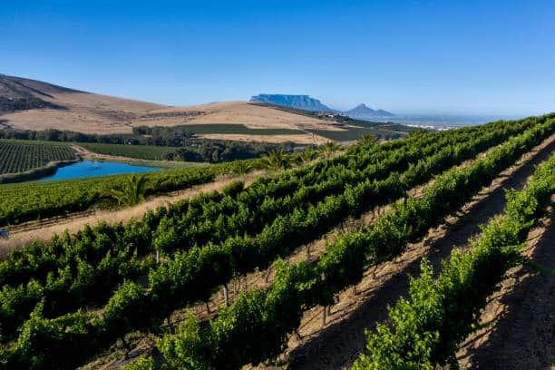 EOACC ACCOUNTANTS IN DURBANVILLE