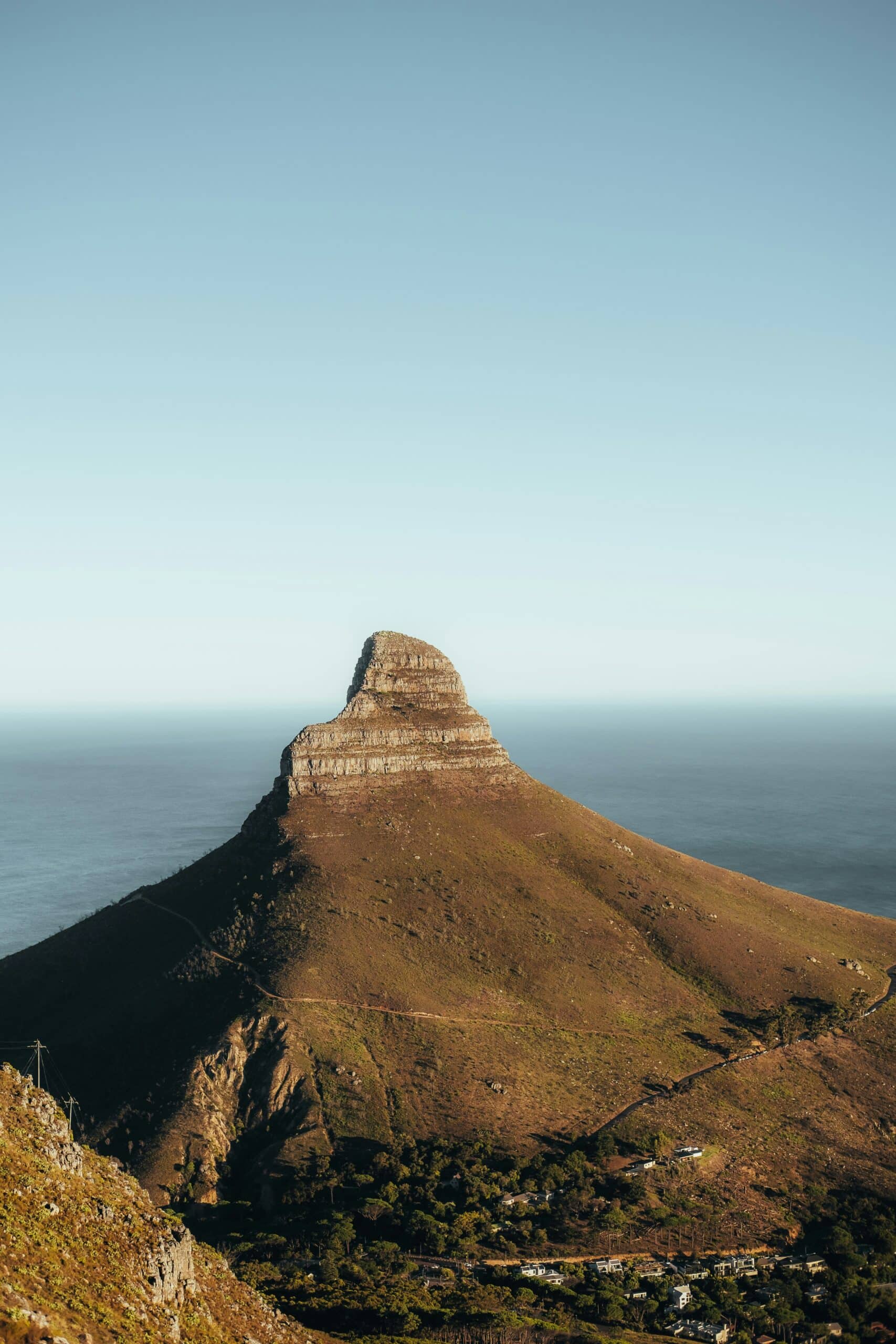 South African Tax Example photo of lions head in cape town